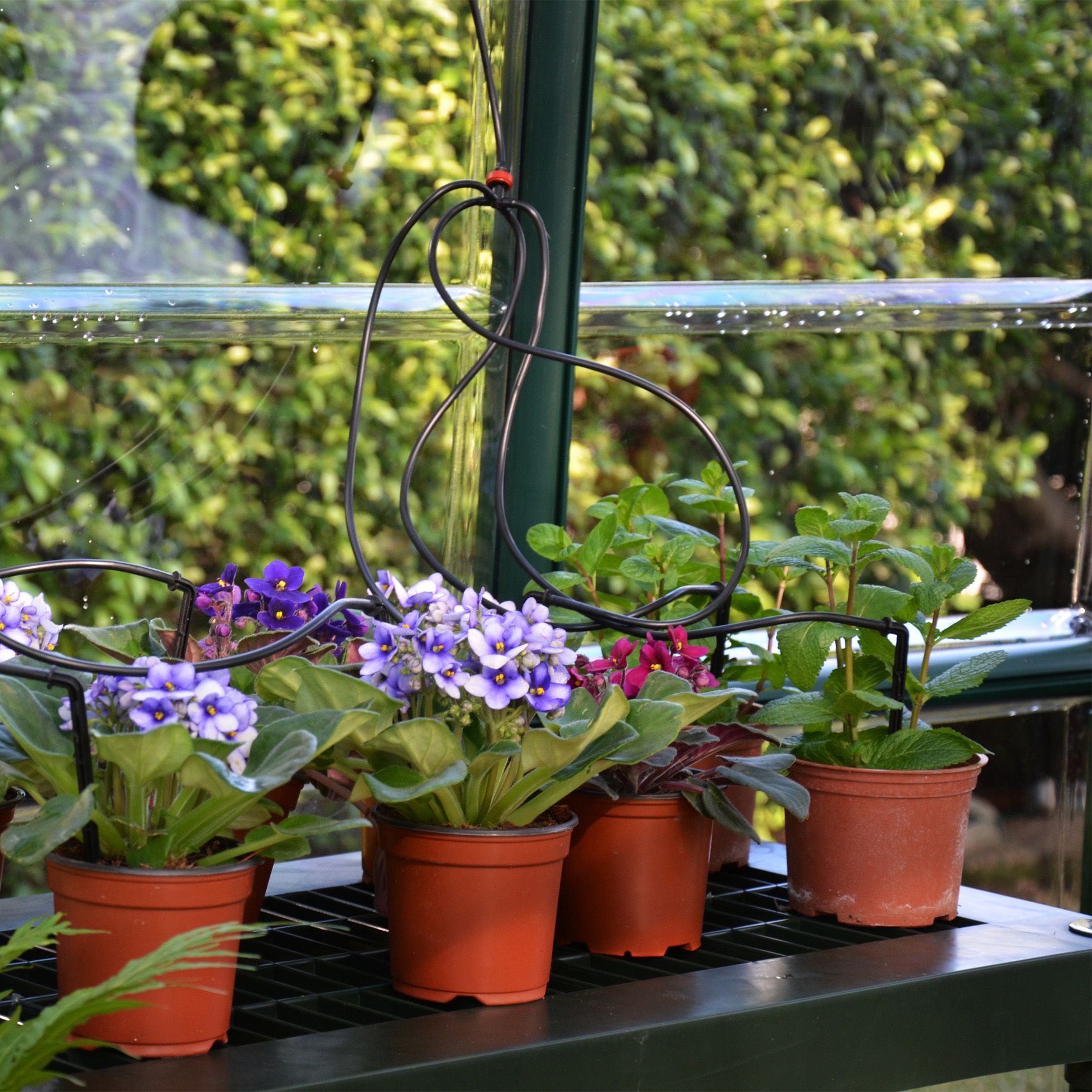 RION GRAND GARDNER 8X20 FT GREEN POLYCARBONATE (PC) BARN GREENHOUSE ...