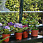 Rion Grand Gardner Green 8x16 Greenhouse