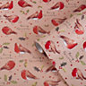 Robin Wrapping paper