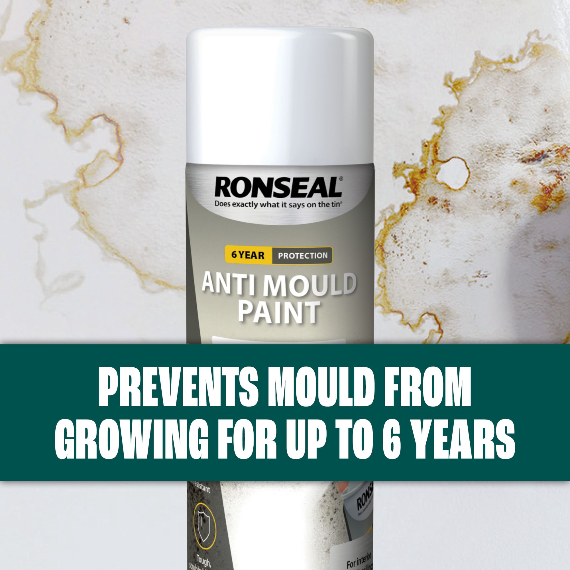 Ronseal Anti Mould White Matt Wall & ceiling Protector Spray paint, 400ml