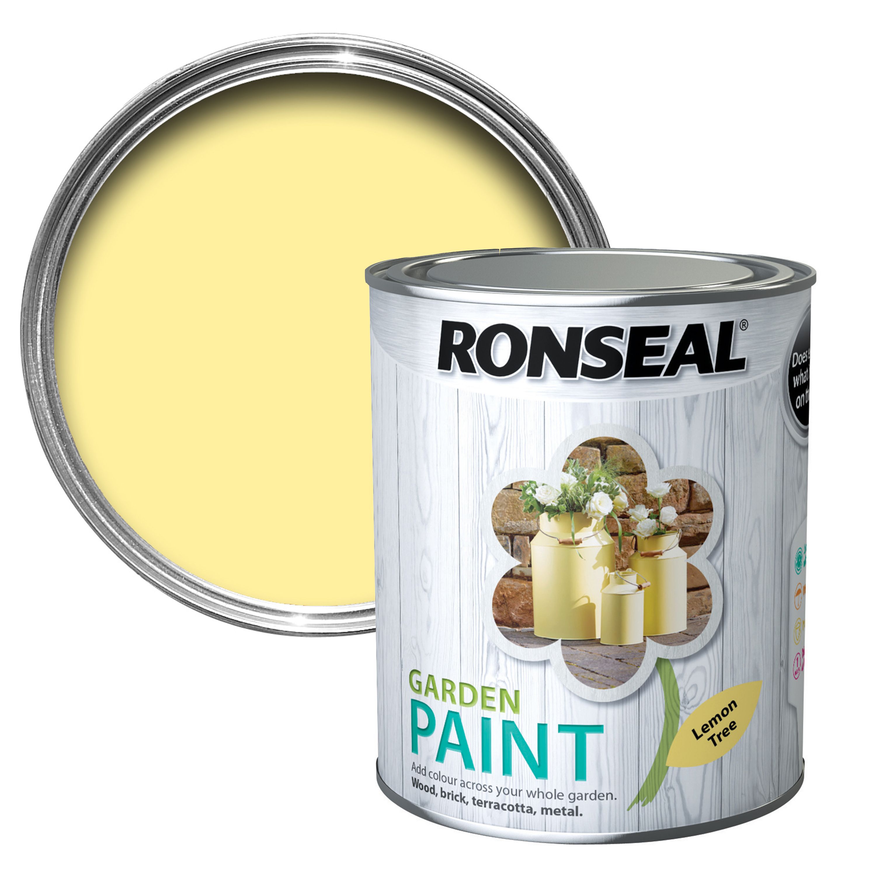 Ronseal Garden Lemon tree Matt Multi-surface Exterior Metal & wood paint, 750ml