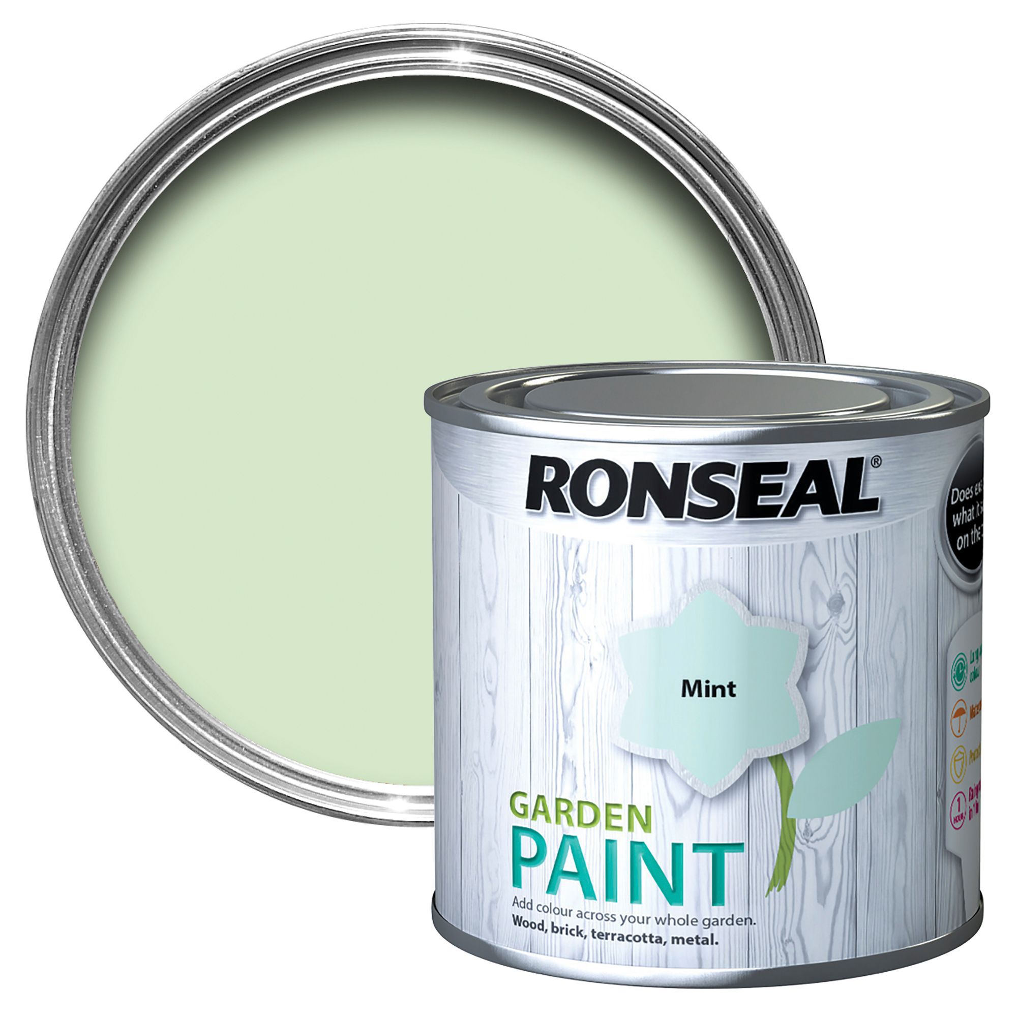 Ronseal Garden Mint Matt Metal & wood paint, 250ml
