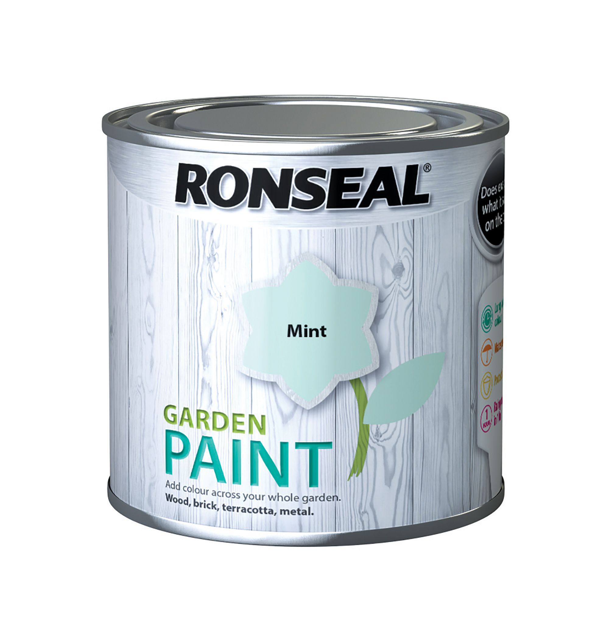 Ronseal Garden Mint Matt Multi-surface Garden Metal & wood paint, 250ml