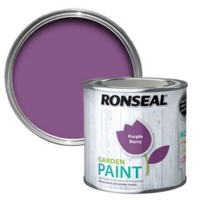 Ronseal Garden Purple berry Matt Metal & wood paint, 250ml