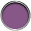 Ronseal Garden Purple berry Matt Multi-surface Garden Metal & wood paint, 250ml