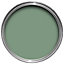Ronseal Garden Sapling green Matt Metal & wood paint, 2.5L