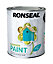 Ronseal Garden Summer sky Matt Metal & wood paint, 750ml