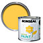 Ronseal Garden Sun dial Matt Metal & wood paint, 250ml