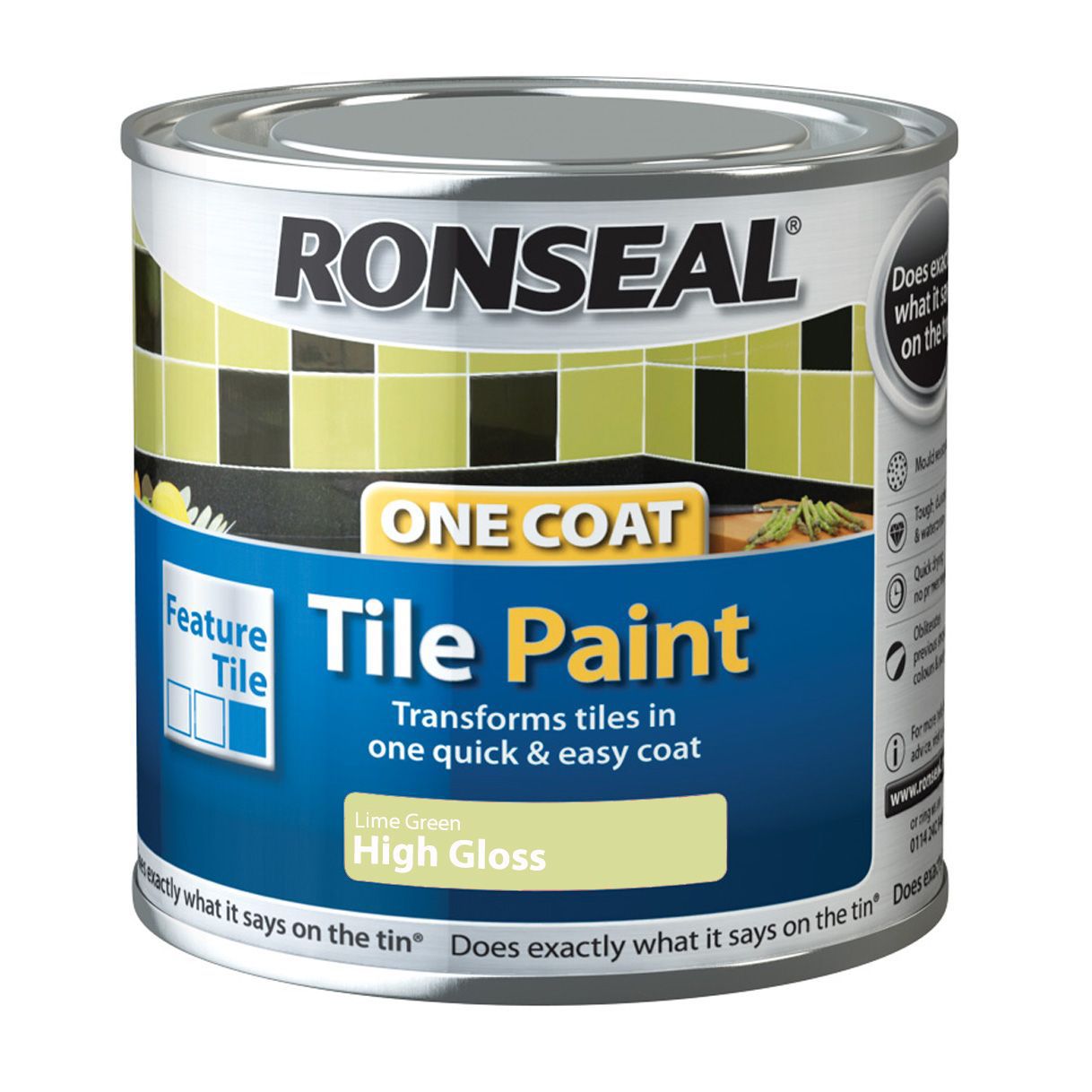 Ronseal Lime High Gloss Tile Paint 0 25l Diy At B Q