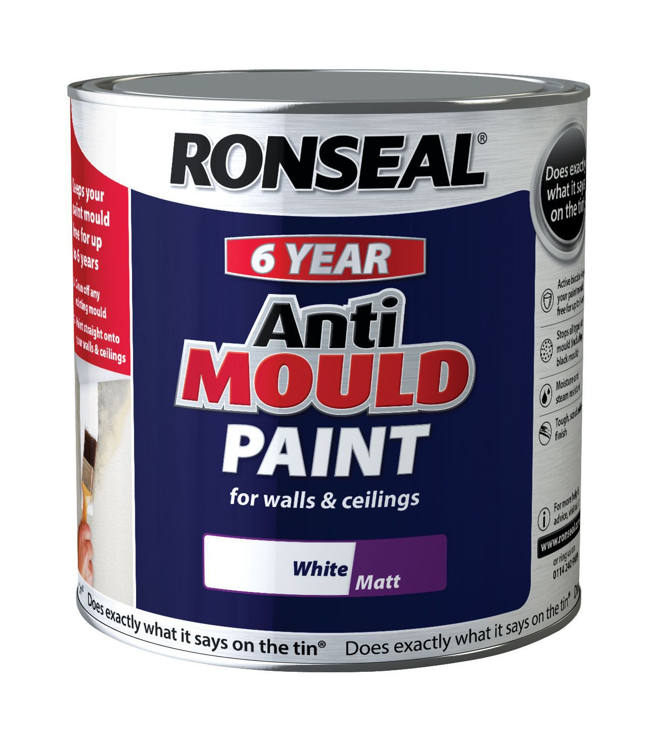 Anti Mould Paint Specialist Paint Treatments B Q