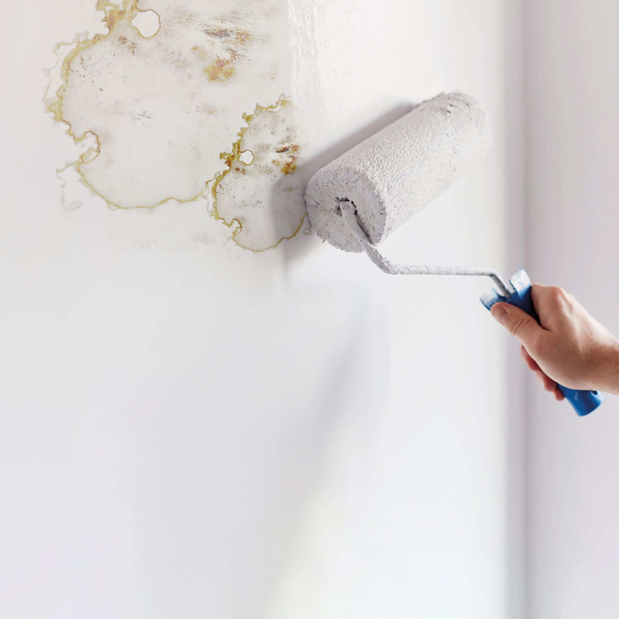 Ronseal Problem wall White Matt Interior Anti-mould paint, 2.5L