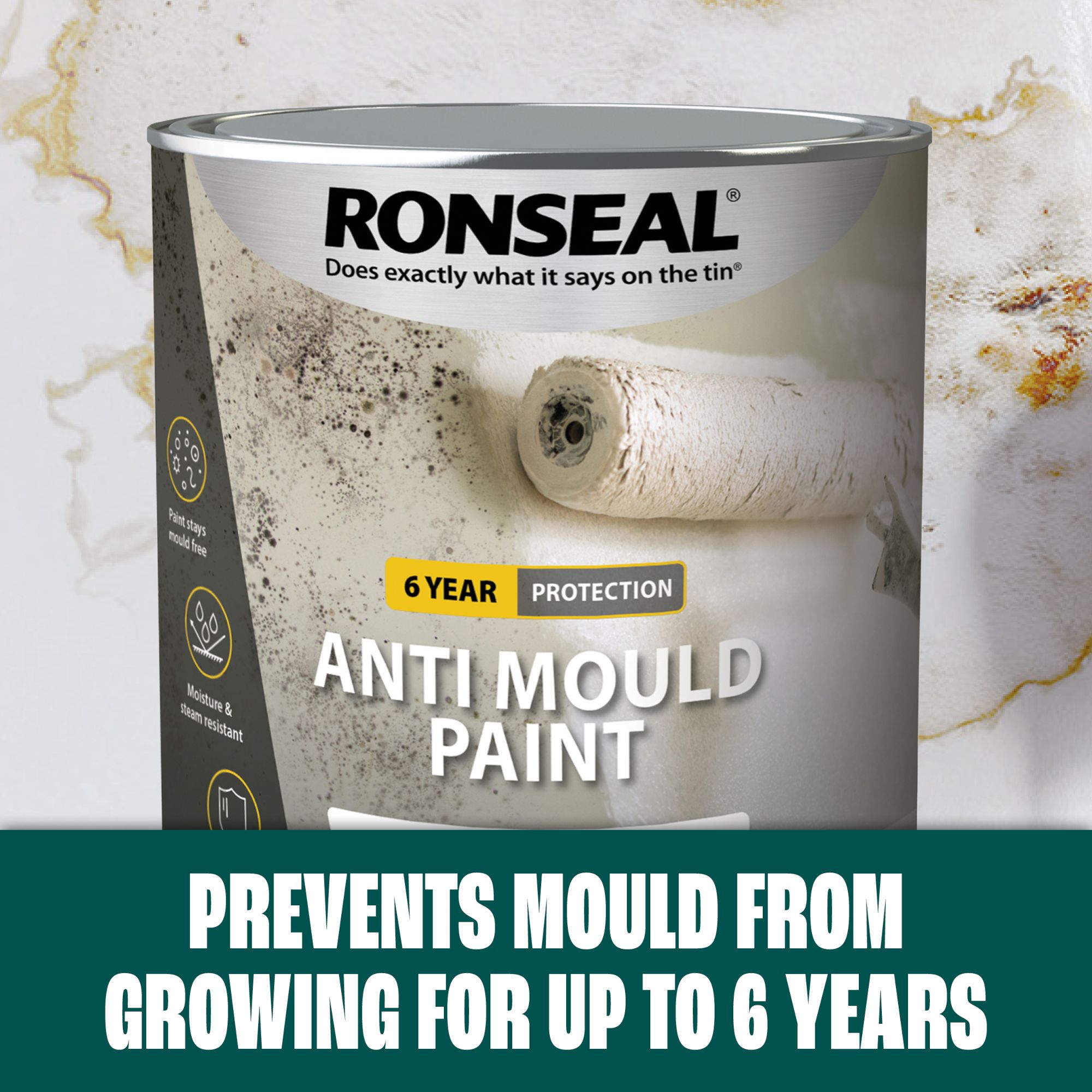 Ronseal Problem wall White Matt Interior Anti-mould paint, 2.5L