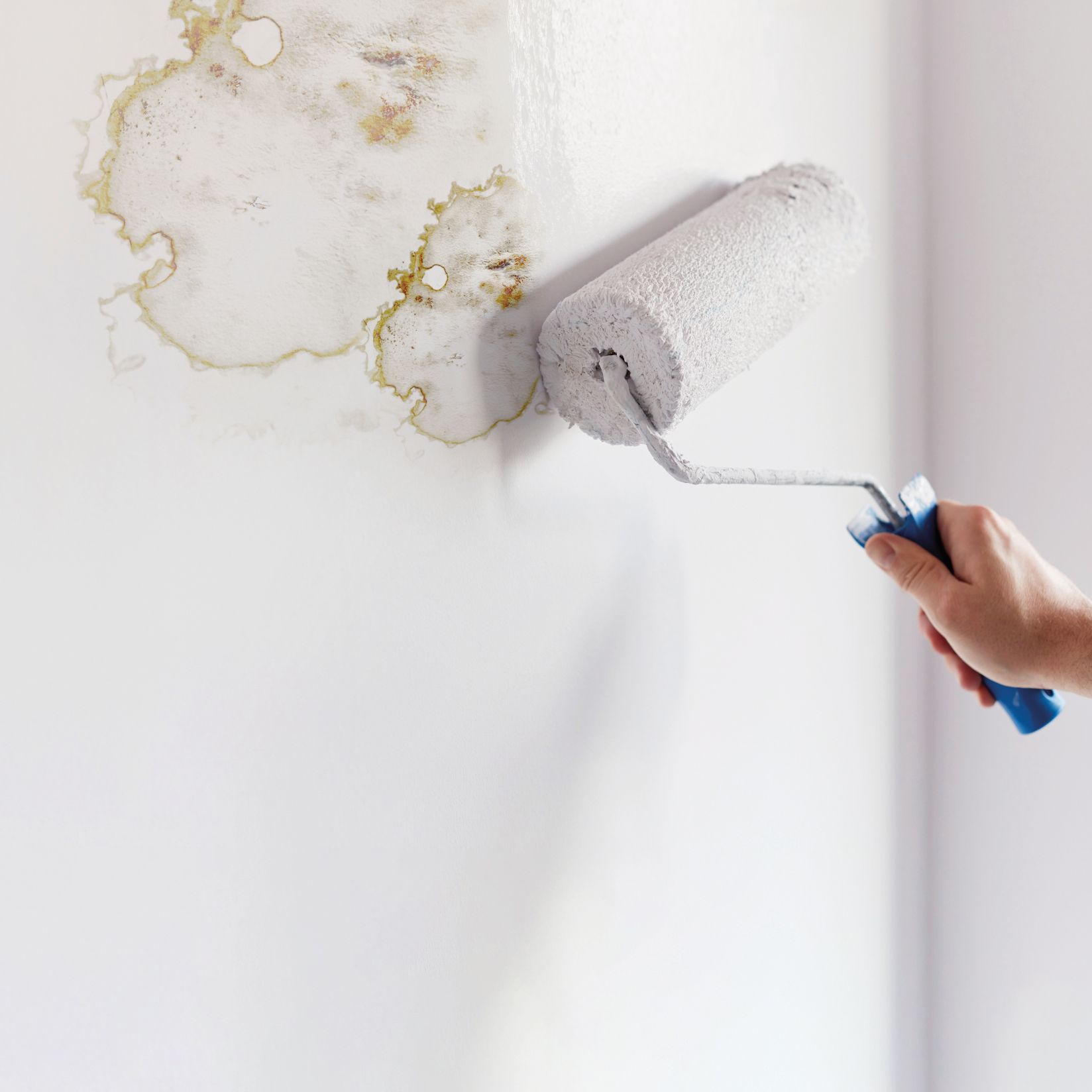 Ronseal Problem wall White Matt Interior Anti-mould paint, 750ml