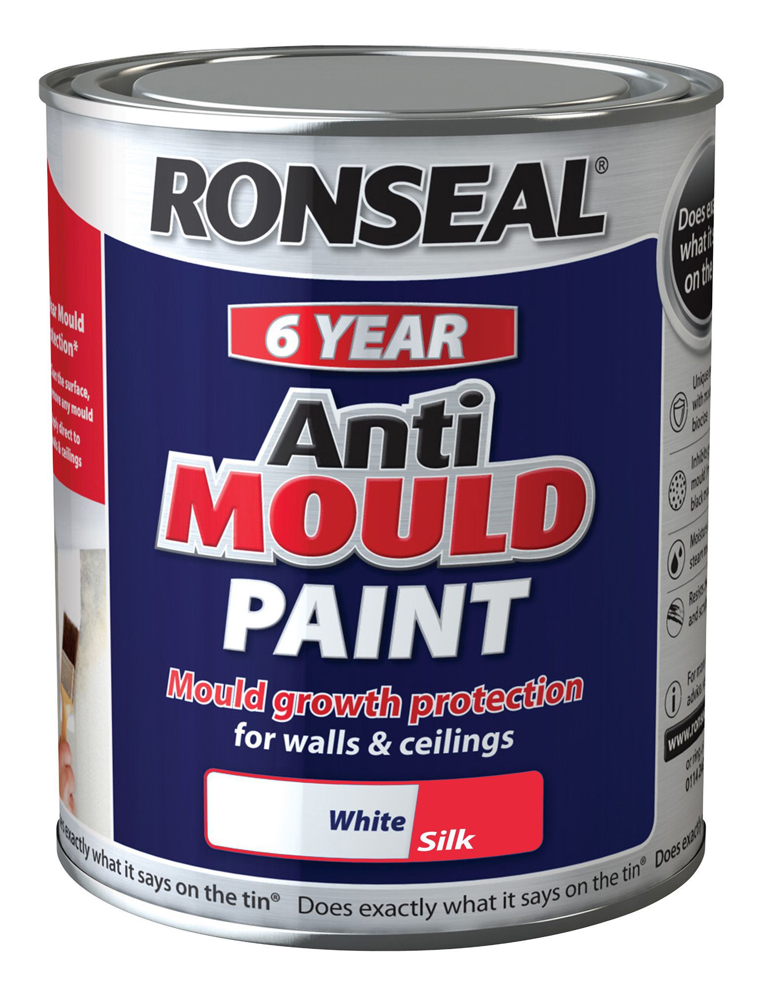 Anti Mould Paint Specialist Paint Treatments B Q