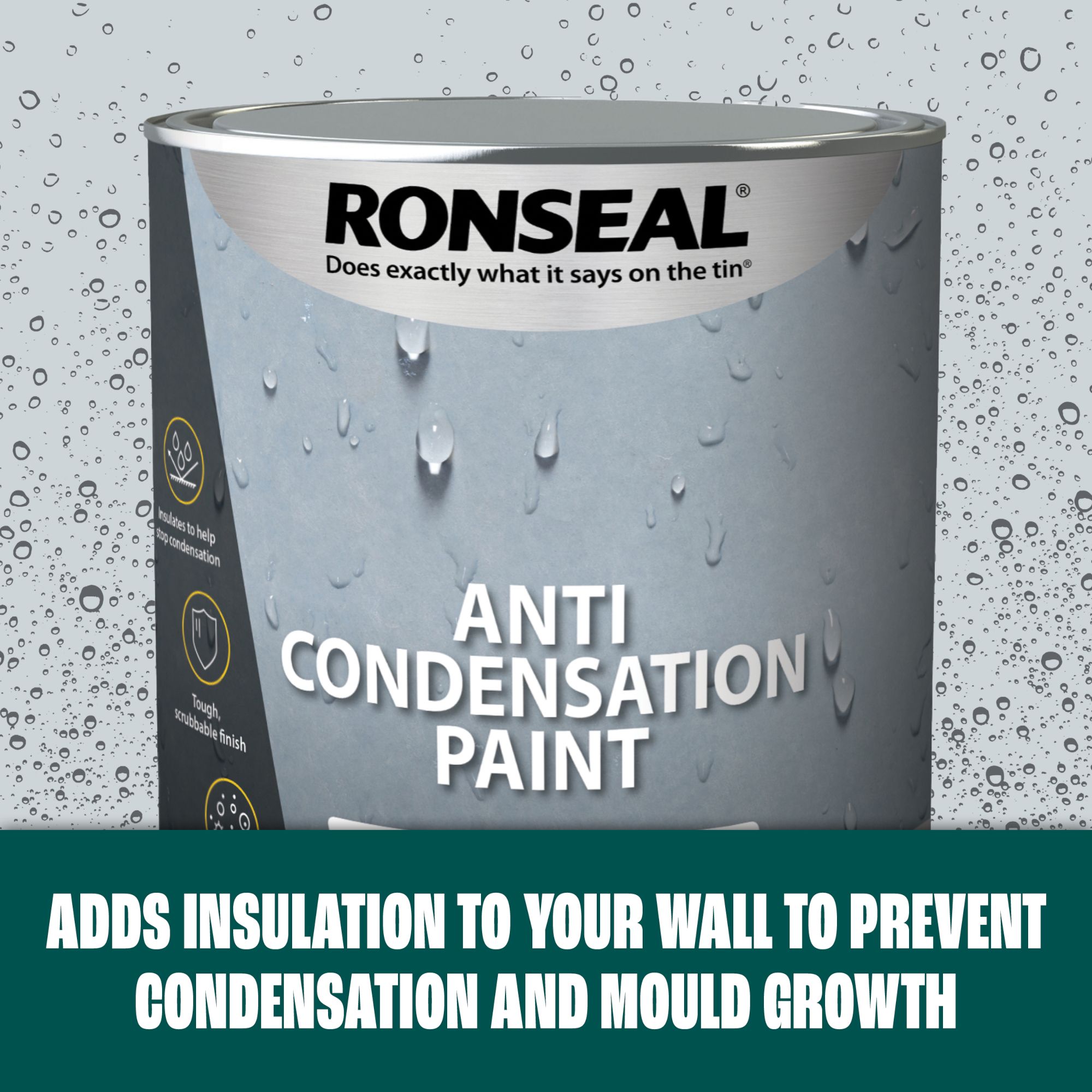 Ronseal White Matt Interior Anti-damp paint, 2.5L