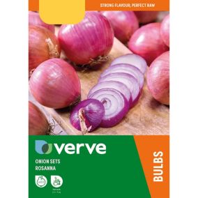 Rosanne Onion Vegetable bulb