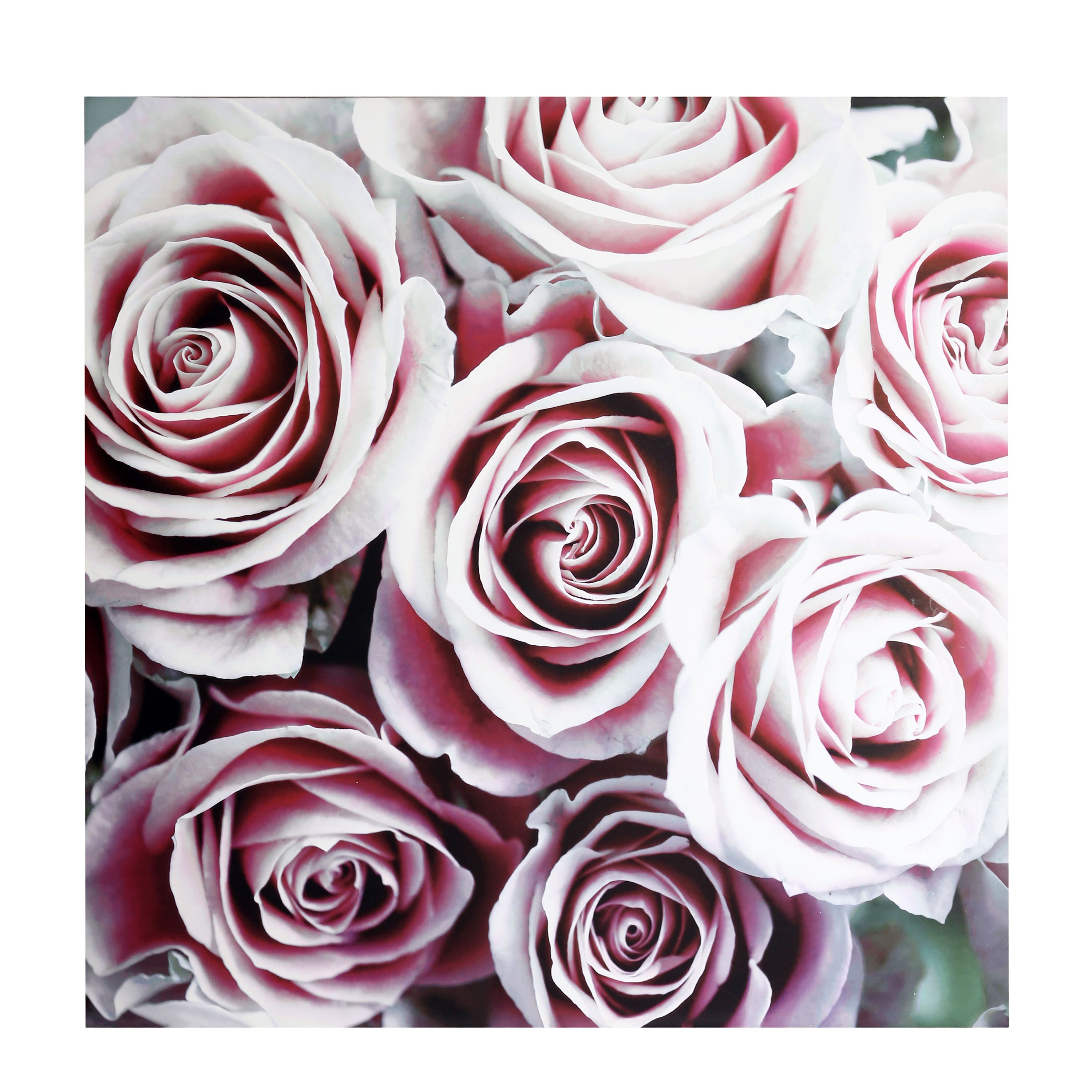 Roses Blush Canvas art (H)900mm (W)900mm DIY at B&Q