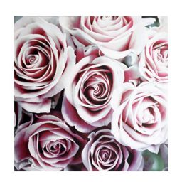 Roses Blush Canvas art (H)900mm (W)900mm