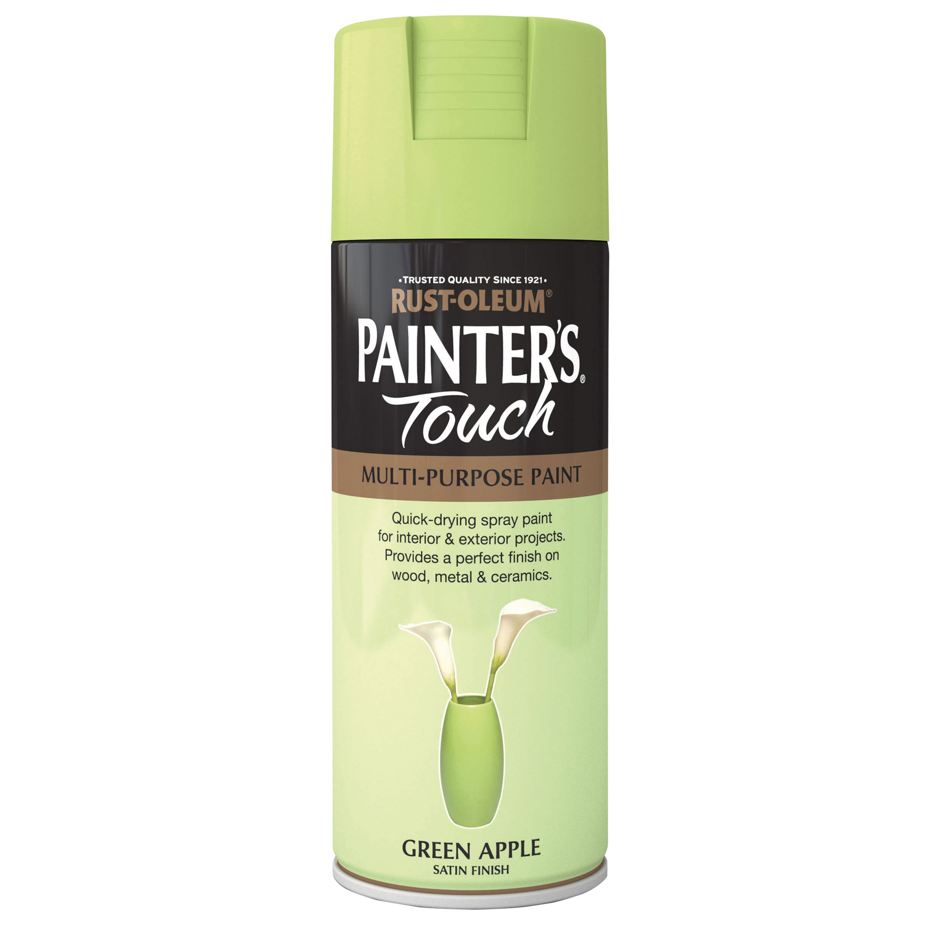 Rust-Oleum Painter's Touch Green apple Satinwood Multi-surface Decorative spray paint, 400ml
