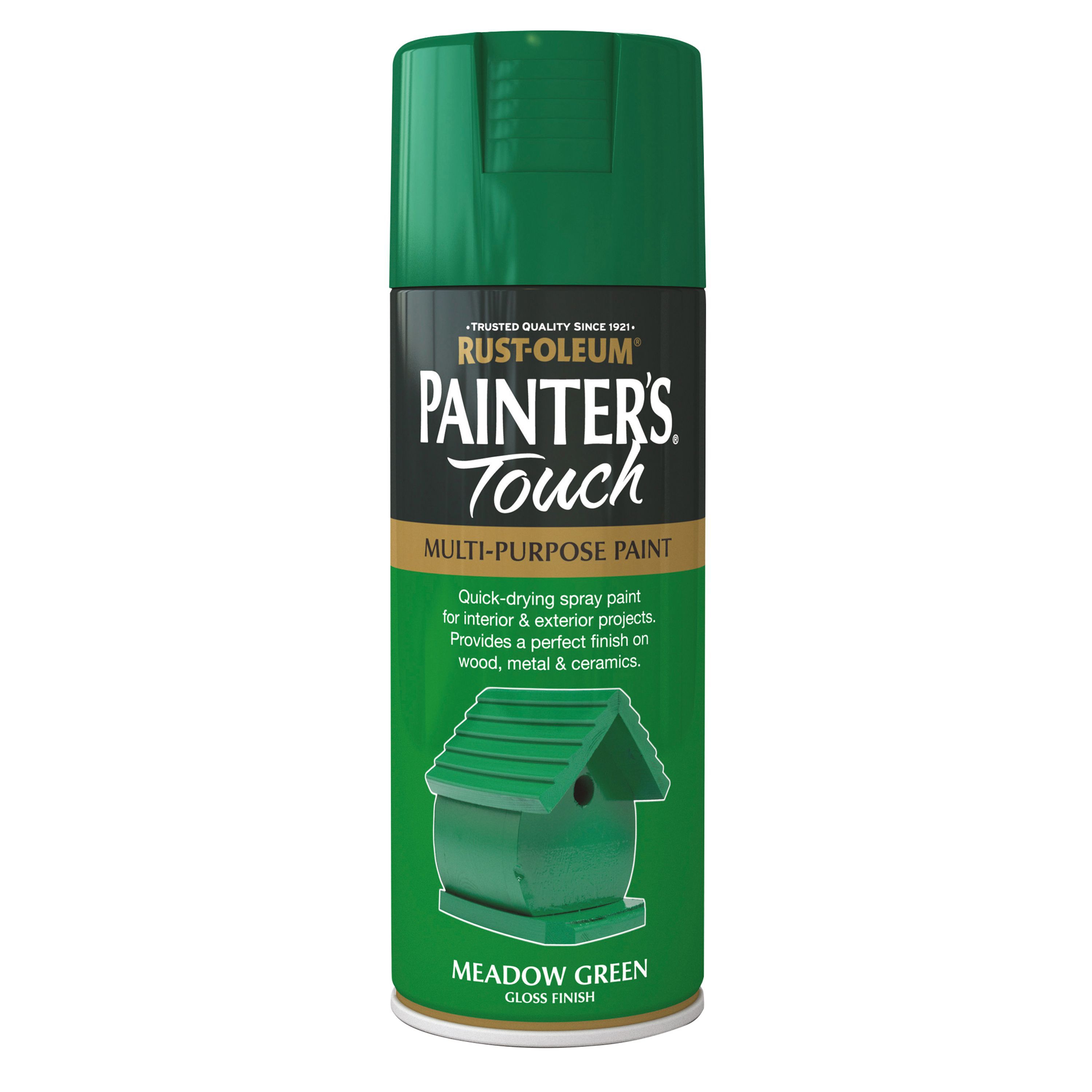 Rust-Oleum Painter's Touch Meadow green Gloss Multi-surface Decorative spray paint, 400ml
