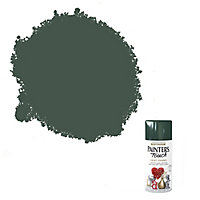 Rust-Oleum Painter's Touch Oxford green Gloss Multi-surface Decorative spray paint, 150ml