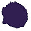 Rust-Oleum Painter's Touch Purple Gloss Multi-surface Decorative spray paint, 400ml
