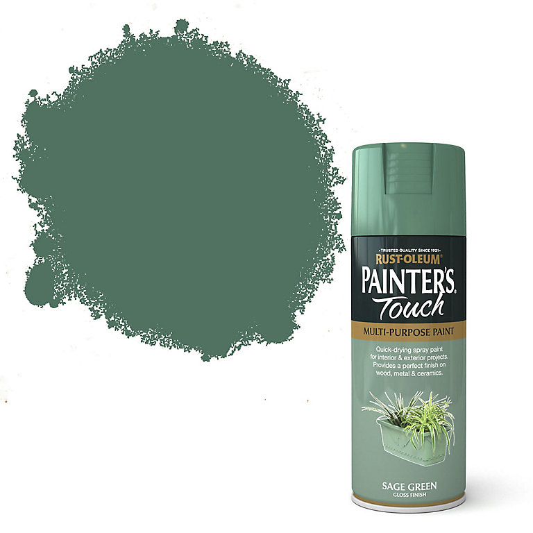 Rust Oleum Painter S Touch Sage Green Gloss Multi Surface Decorative Spray Paint 400ml Diy At B Q - Quick Color Spray Paint Review