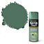Rust-Oleum Painter's touch Sage green Gloss Multi-surface Decorative spray paint, 400ml