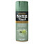 Rust-Oleum Painter's touch Sage green Gloss Multi-surface Decorative spray paint, 400ml