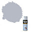 Rust-Oleum Painter's touch Winter grey Gloss Multi-surface Decorative spray paint, 400ml