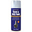 Rust-Oleum Stove & bbq Matt Silver effect Multi-surface Spray paint, 400ml