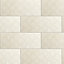 Safari Natural Inkjet Ceramic Tile, Pack of 10, (L)500mm (W)200mm