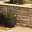 Sandstone Brown Double-sided 285 Piece Walling pack