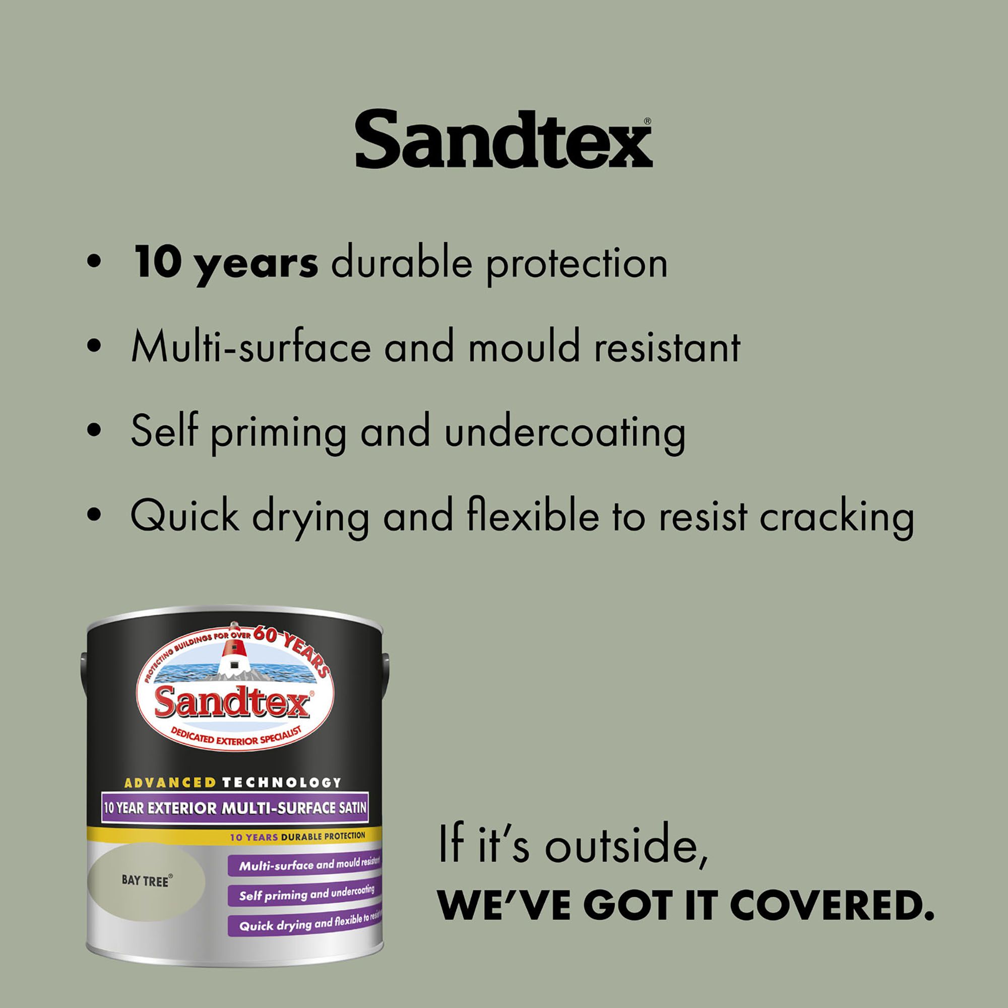 Sandtex 10 Year Bay Tree Satin Metal, plastic & wood Multi-surface paint, 2.5L