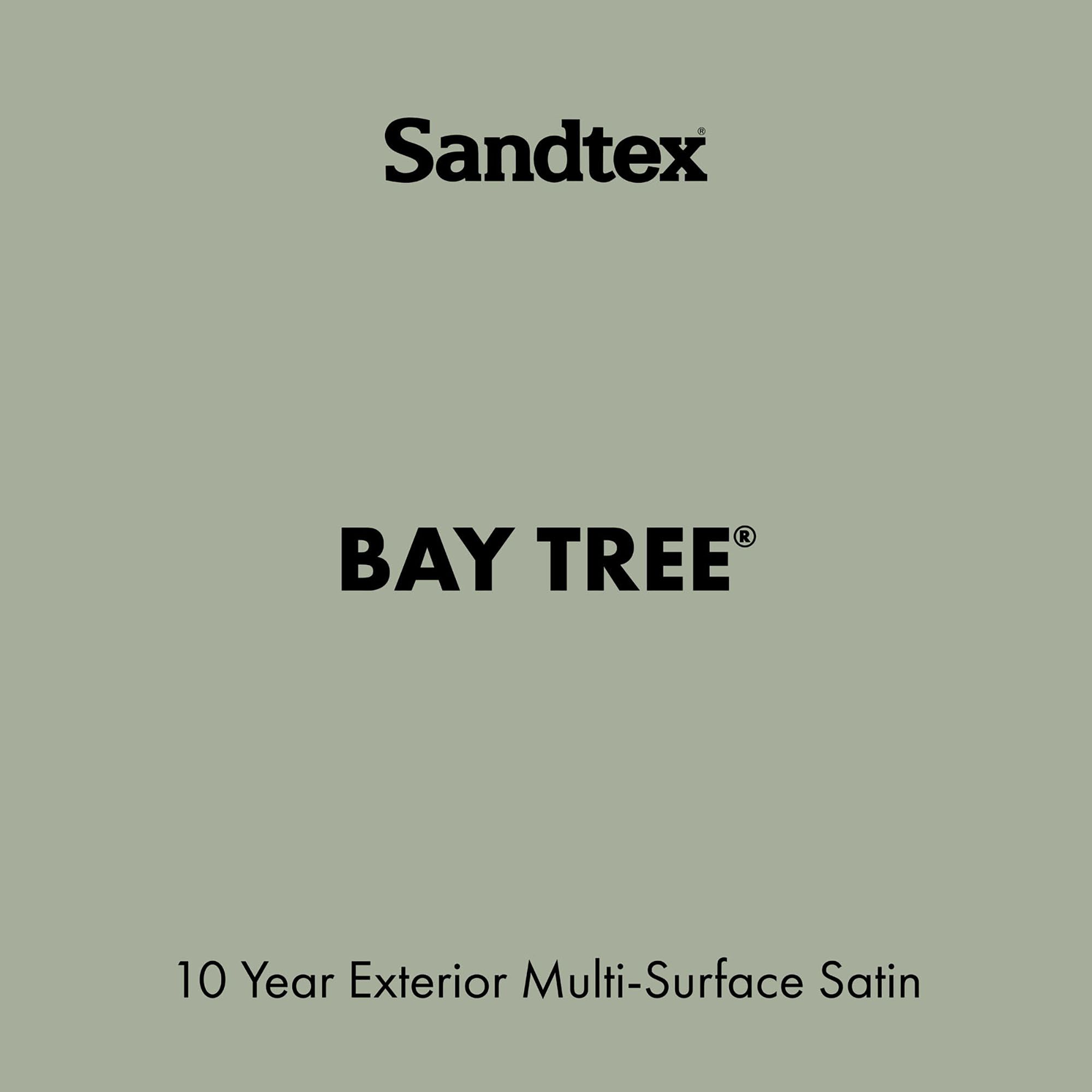 Sandtex 10 Year Bay Tree Satin Metal, plastic & wood Multi-surface paint, 2.5L