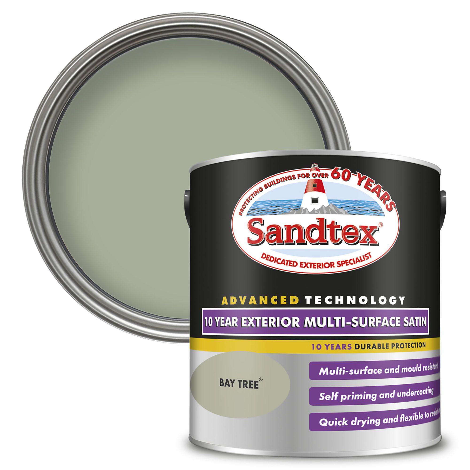 Sandtex 10 Year Bay Tree Satin Metal, plastic & wood Multi-surface paint, 2.5L