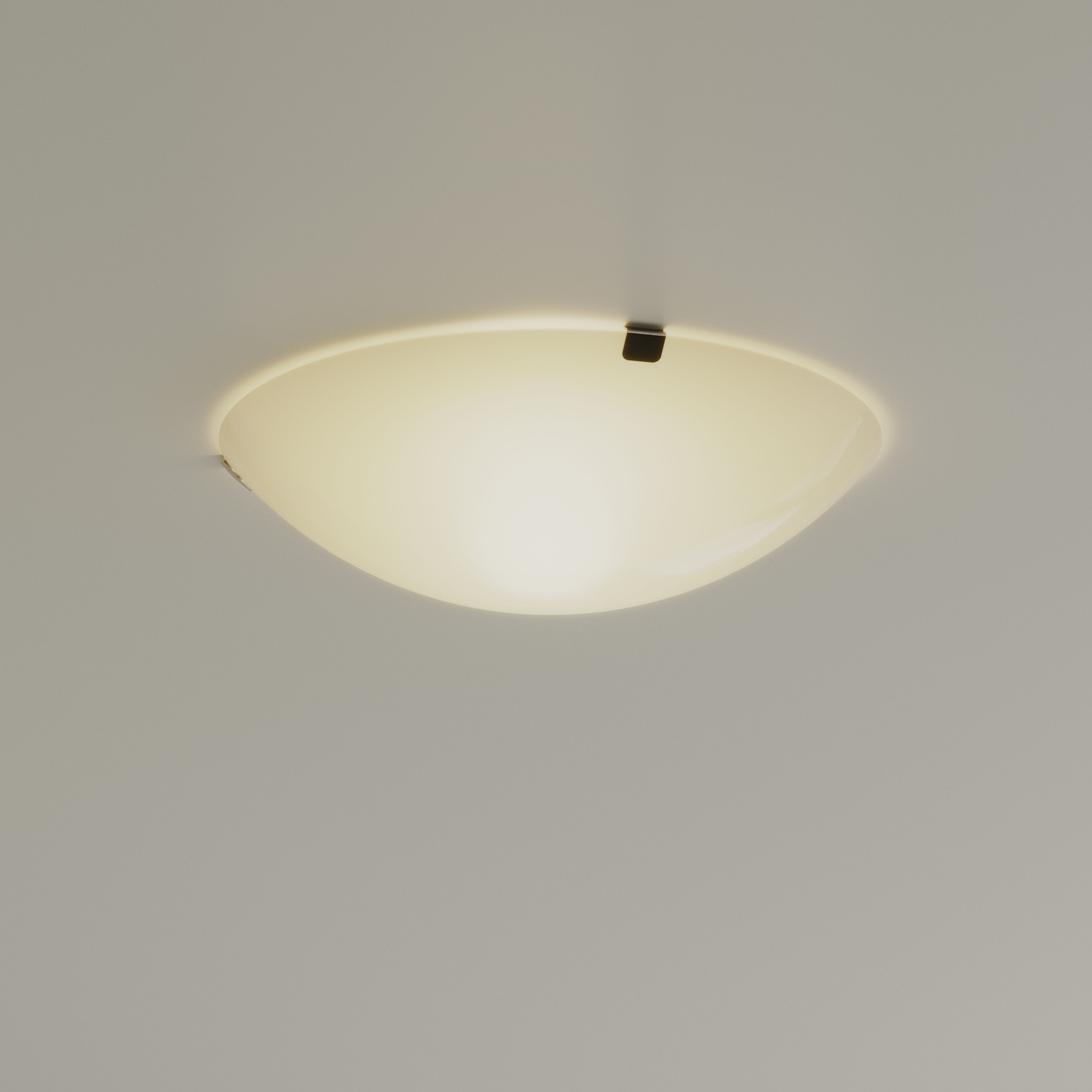 Sasha Round Matt Glass & metal White Frosted effect Ceiling light