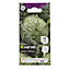 Savoy cabbage vertus 2 Seed