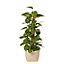 Seagrass Herringbone Plant pot (Dia)26.5cm