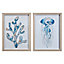 Sealife White & blue Framed print (H)40cm x (W)30cm, Pair of 2