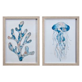 Sealife White & blue Framed print (H)40cm x (W)30cm, Pair of 2