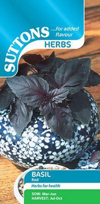 Seeds BHS 3 Kg