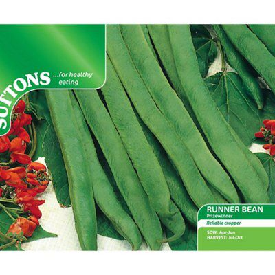 Seeds