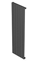 Seren Égalrad Gun metal Vertical Designer Radiator, (W)433mm x (H)1800mm