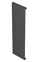 Seren Égalrad Gun metal Vertical Designer Radiator, (W)505mm x (H)1800mm