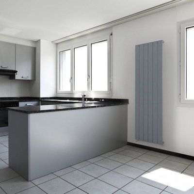Seren Égalrad Matt silver Vertical Designer Radiator, (W)505mm x (H)1800mm