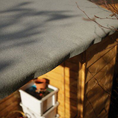 SHED OVERLAP 8BI6 NO WINDOW TRT