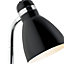 Shelley Black CFL Desk lamp