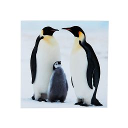 Shelter Penguins Christmas card, Pack of 10