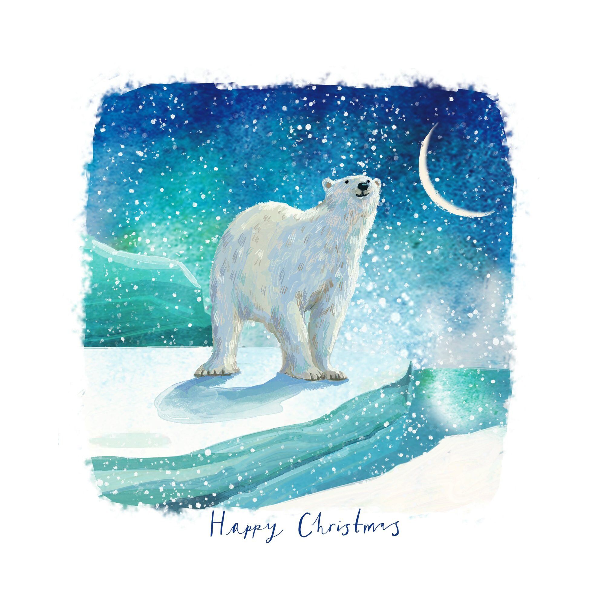 Shelter Polar bear Christmas card, Pack of 10